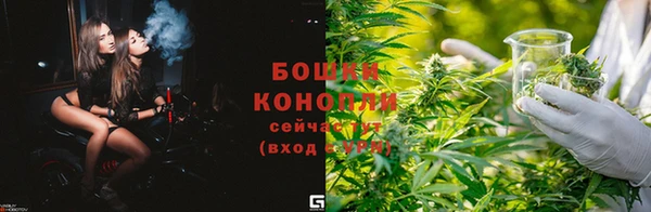 соль ск Арсеньев