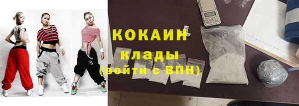 соль ск Арсеньев