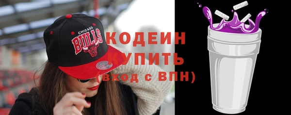 соль ск Арсеньев