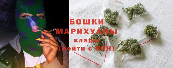соль ск Арсеньев