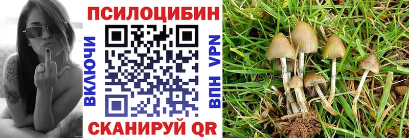 Галлюциногенные грибы Psilocybine cubensis hydra ONION Инсар